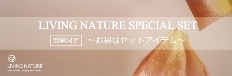 ӥ󥰥ͥ㡼ڥ륻å